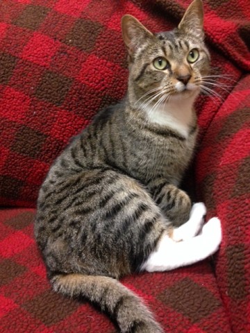 Agency Photo  (42769)