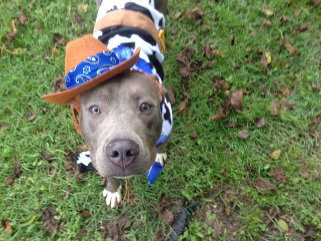 Agency Photo  (42775)