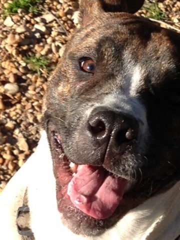 Agency Photo  (42768)