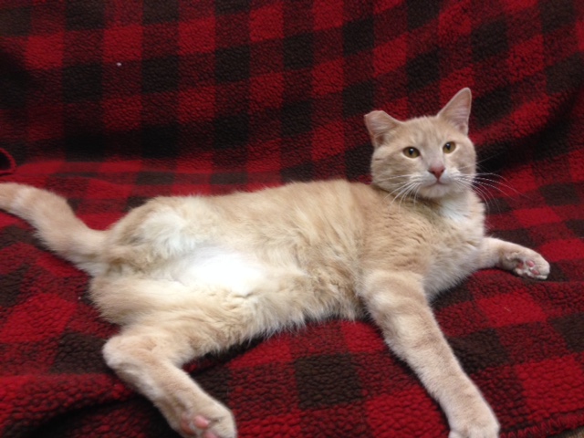 Agency Photo  (42773)