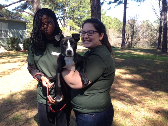 Agency Photo  (42770)