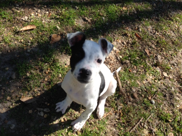 Agency Photo  (42766)