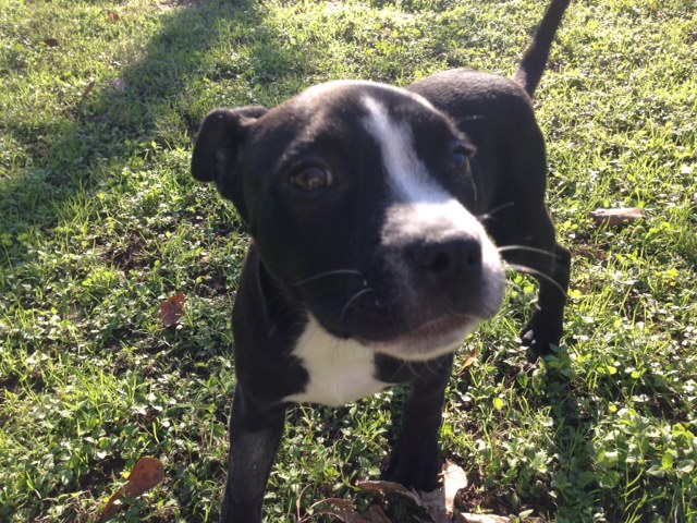 Agency Photo  (42767)