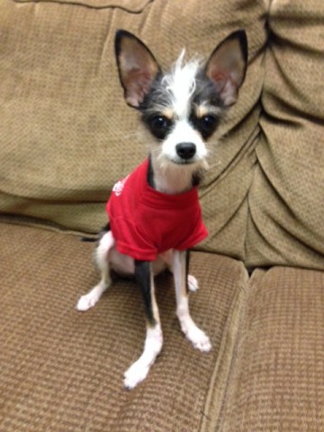 Agency Photo  (42765)