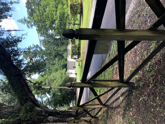 Agency Photo  (156872)