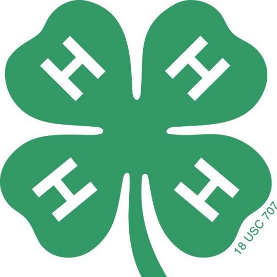 Agency Logo