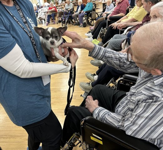 Member Organization Photo  (266625)