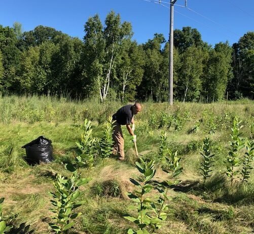 Member Organization Photo  (274115)