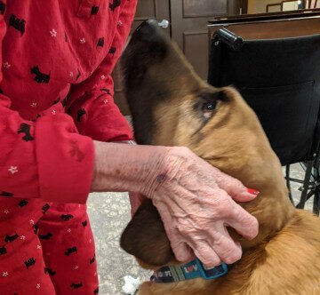 Member Organization Photo  (272683)