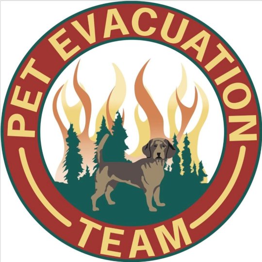 Organization Logo