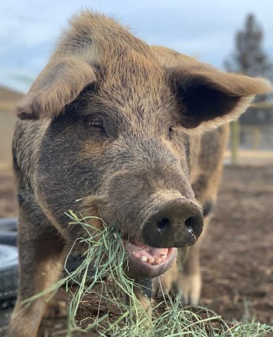 Organization Photo  (189349)