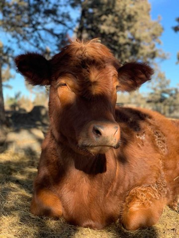 Organization Photo  (189350)