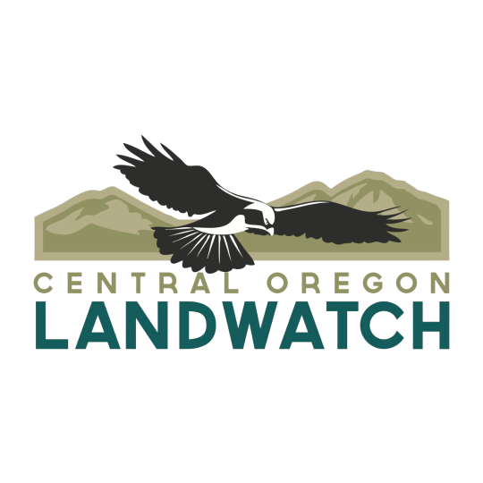 Organization Logo