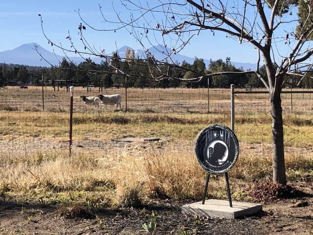 Organization Photo  (166746)