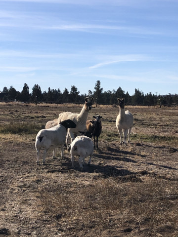 Organization Photo  (166744)