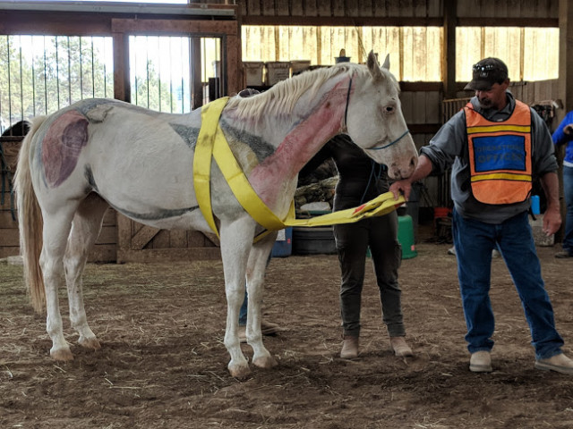 Organization Photo  (117084)