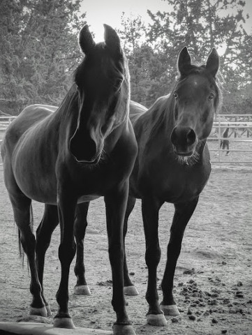 Organization Photo  (117083)