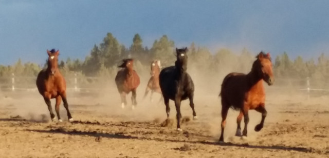 Organization Photo  (117085)