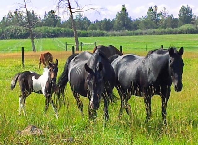 Organization Photo  (46260)