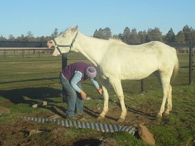 Organization Photo  (46256)