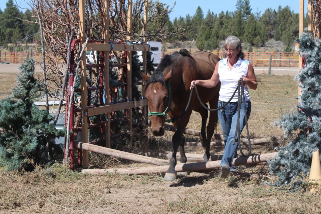 Organization Photo  (46258)