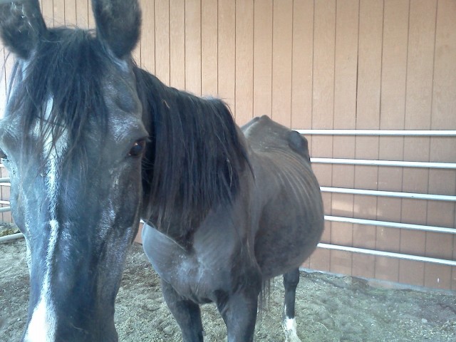 Organization Photo  (46262)