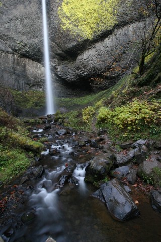 Organization Photo  (78881)