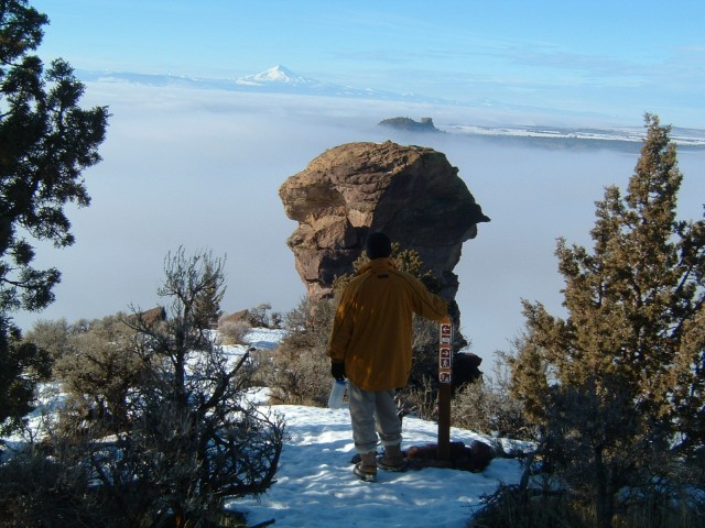 Organization Photo  (78880)