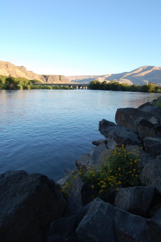 Organization Photo  (78871)