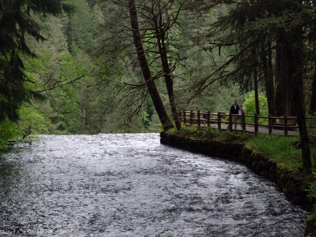 Organization Photo  (78876)