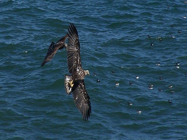 Organization Photo  (78879)