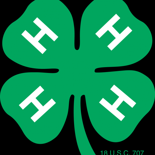 Organization Logo