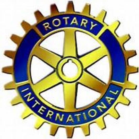 Organization Logo