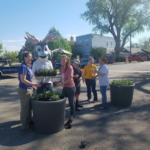 Agency Photo  (152516)