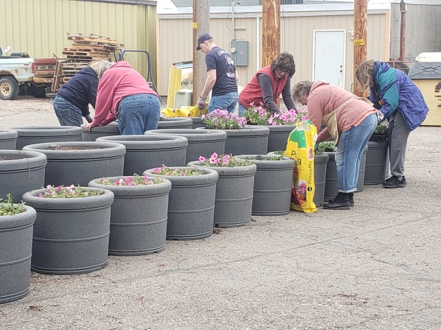 Agency Photo  (185722)