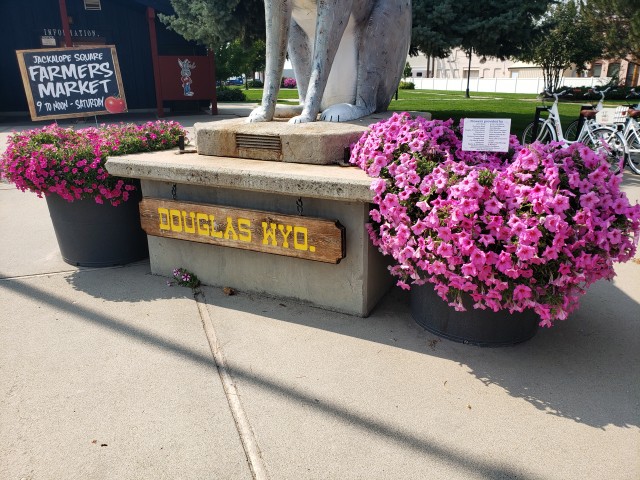 Agency Photo  (185724)