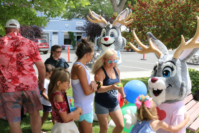 Agency Photo  (174619)