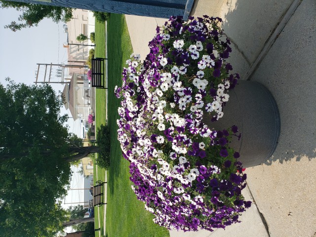 Agency Photo  (185723)