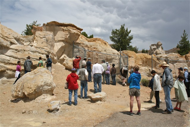 Agency Photo  (36711)