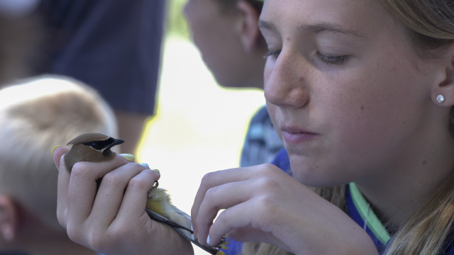 Agency Photo  (149460)