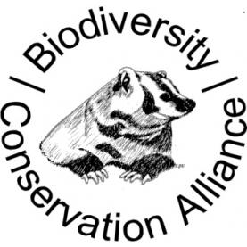 Agency Logo