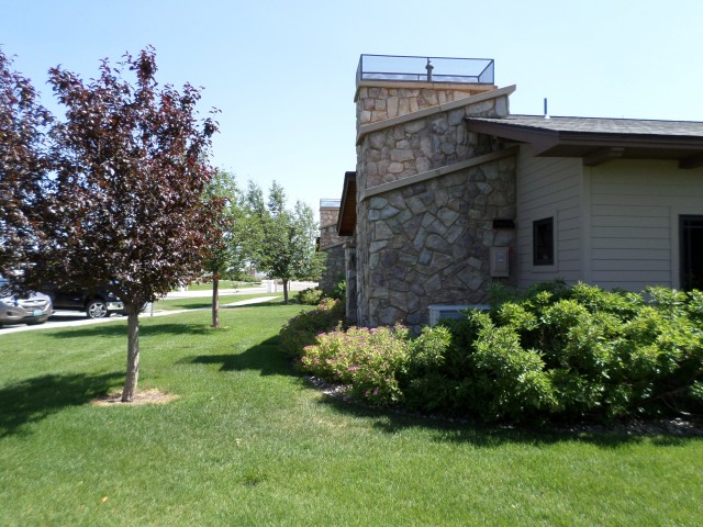 Agency Photo  (43367)