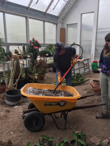 Agency Photo  (86724)