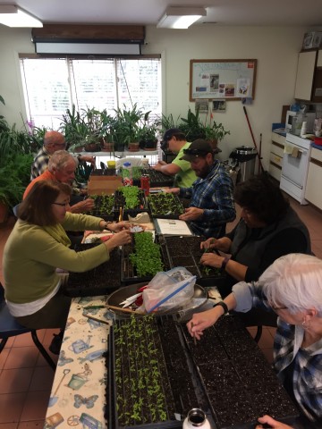 Agency Photo  (86725)