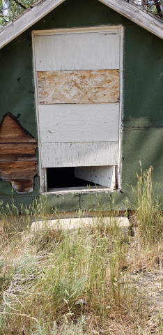 Agency Photo  (152883)