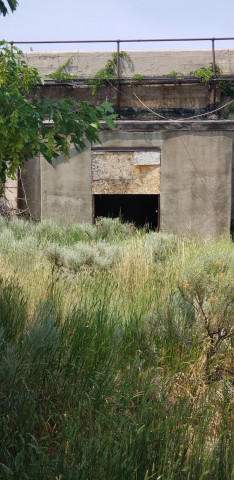 Agency Photo  (152885)