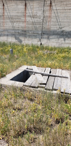 Agency Photo  (152881)