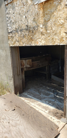 Agency Photo  (152878)