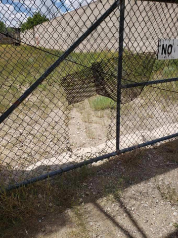 Agency Photo  (152880)