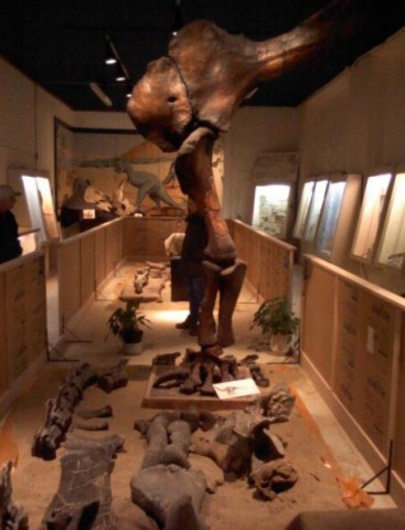 Agency Photo  (92279)